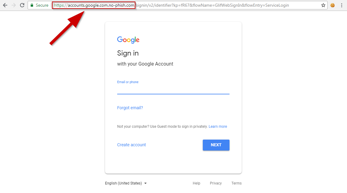 Phished page with phishing URL
